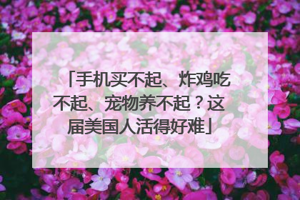 手机买不起、炸鸡吃不起、宠物养不起？这届美国人活得好难