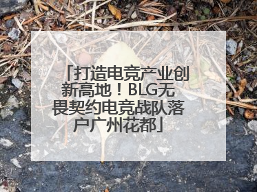 打造电竞产业创新高地！BLG无畏契约电竞战队落户广州花都