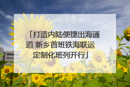 打造内陆便捷出海通道 新乡首班铁海联运定制化班列开行