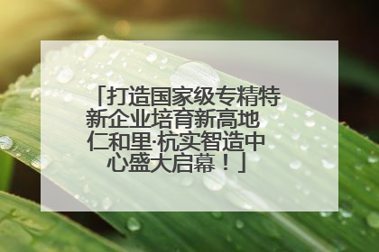 打造国家级专精特新企业培育新高地 仁和里·杭实智造中心盛大启幕！