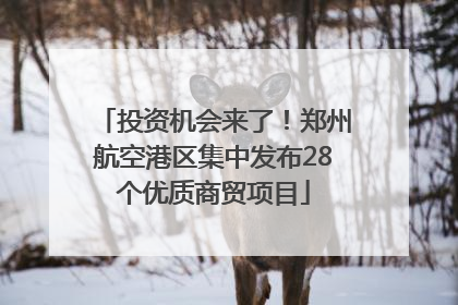 投资机会来了！郑州航空港区集中发布28个优质商贸项目