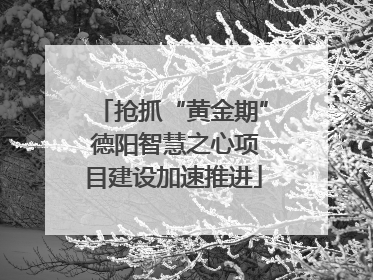 抢抓“黄金期” 德阳智慧之心项目建设加速推进