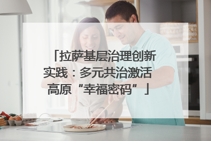 拉萨基层治理创新实践：多元共治激活高原“幸福密码”