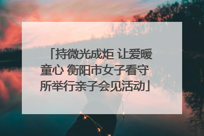 持微光成炬 让爱暖童心 衡阳市女子看守所举行亲子会见活动