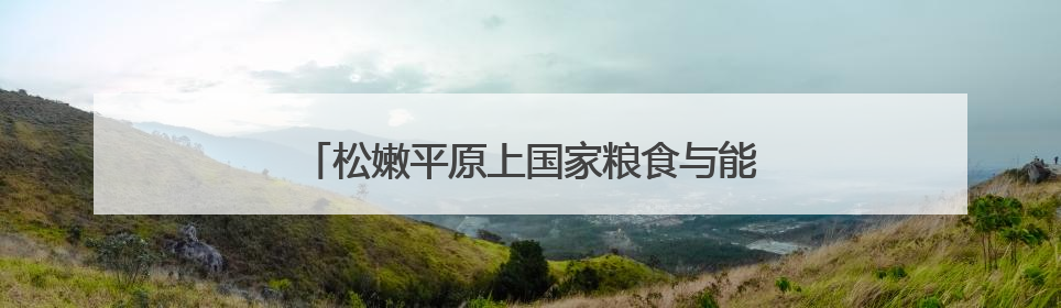 松嫩平原上国家粮食与能源安全的三峡融合示范