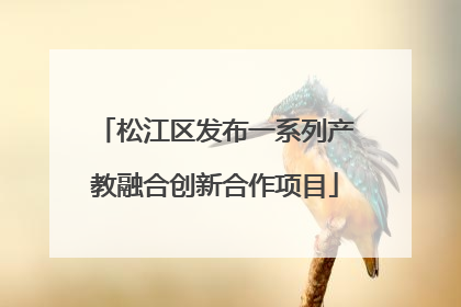 松江区发布一系列产教融合创新合作项目