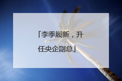 李季履新，升任央企副总