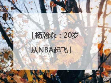 杨瀚森：20岁从NBA起飞