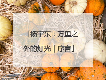 杨宇东：万里之外的灯光｜序言
