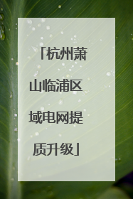 杭州萧山临浦区域电网提质升级