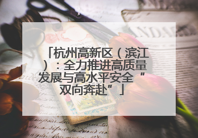 杭州高新区（滨江）：全力推进高质量发展与高水平安全“双向奔赴”