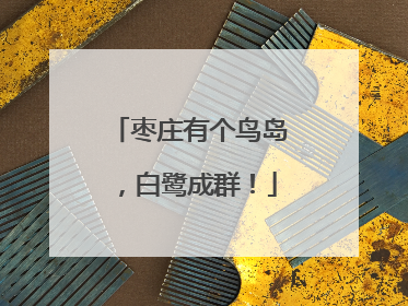 枣庄有个鸟岛，白鹭成群！