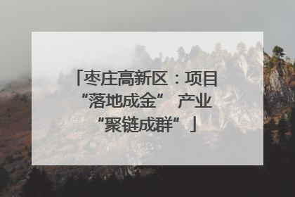 枣庄高新区：项目“落地成金” 产业“聚链成群”