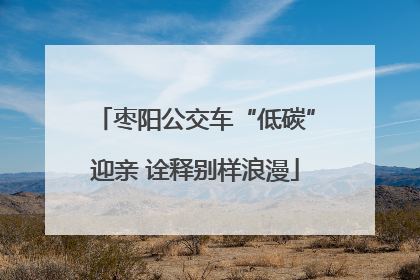 枣阳公交车“低碳”迎亲 诠释别样浪漫
