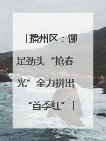 播州区：铆足劲头“抢春光”全力拼出“首季红”
