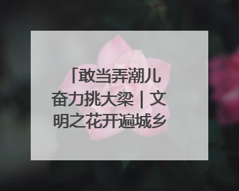 敢当弄潮儿 奋力挑大梁｜文明之花开遍城乡，徐州以昂扬风貌冲刺“万亿之城”