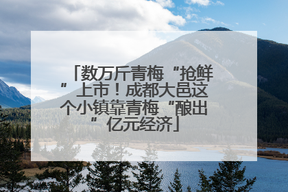 数万斤青梅“抢鲜”上市！成都大邑这个小镇靠青梅“酿出”亿元经济