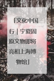 文化中国行｜宁夏固原文物即将亮相上海博物馆