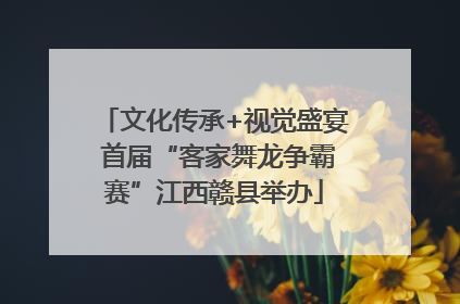 文化传承+视觉盛宴 首届“客家舞龙争霸赛”江西赣县举办