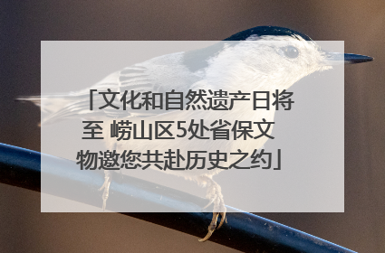 文化和自然遗产日将至 崂山区5处省保文物邀您共赴历史之约