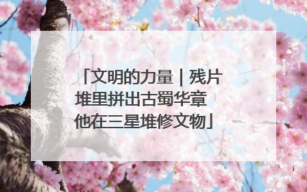 文明的力量｜残片堆里拼出古蜀华章 他在三星堆修文物