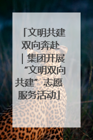 文明共建 双向奔赴｜集团开展“文明双向共建”志愿服务活动