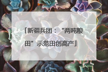 新疆兵团：“两吨粮田”示范田创高产