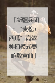 新疆兵团：“麦棉+西瓜”高效种植模式奏响致富曲