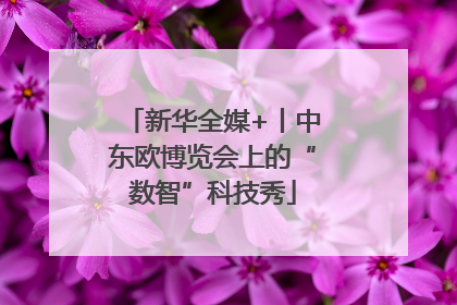 新华全媒+丨中东欧博览会上的“数智”科技秀