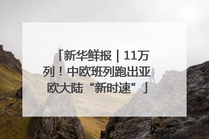 新华鲜报｜11万列！中欧班列跑出亚欧大陆“新时速”