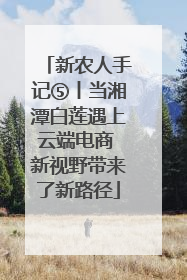 新农人手记⑤丨当湘潭白莲遇上云端电商 新视野带来了新路径