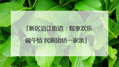 新区沿江街道：粽享欢乐端午情 民族团结一家亲