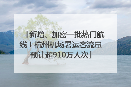 新增、加密一批热门航线！杭州机场暑运客流量预计超910万人次