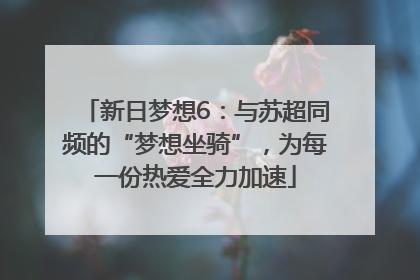 新日梦想6：与苏超同频的“梦想坐骑”，为每一份热爱全力加速