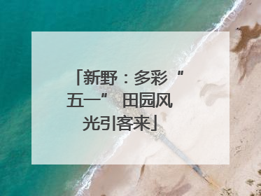 新野：多彩“五一” 田园风光引客来