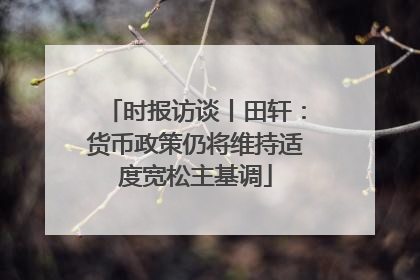 时报访谈丨田轩：货币政策仍将维持适度宽松主基调