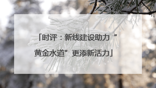 时评：新线建设助力“黄金水道”更添新活力