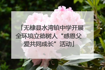 无棣县水湾镇中学开展全环境立德树人“感恩父爱共同成长”活动