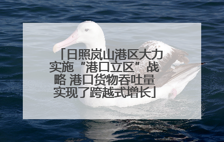 日照岚山港区大力实施“港口立区”战略 港口货物吞吐量实现了跨越式增长
