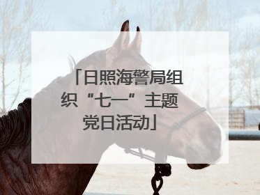 日照海警局组织“七一”主题党日活动