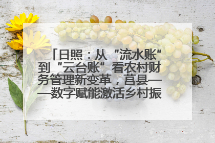 日照：从“流水账”到“云台账”看农村财务管理新变革，莒县——数字赋能激活乡村振兴“一池春水”