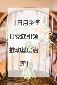 日月乡坚持党建引领推动基层治理