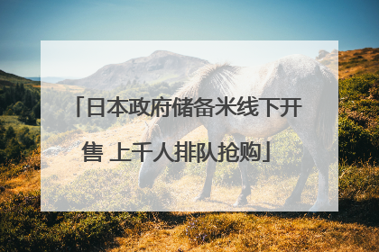 日本政府储备米线下开售 上千人排队抢购