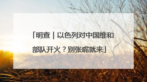 明查｜以色列对中国维和部队开火？别张嘴就来