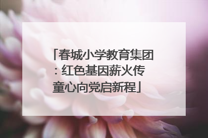 春城小学教育集团：红色基因薪火传 童心向党启新程