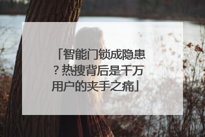 智能门锁成隐患？热搜背后是千万用户的夹手之痛