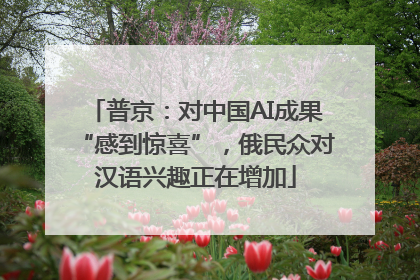 普京：对中国AI成果“感到惊喜”，俄民众对汉语兴趣正在增加