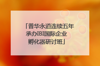 普华永道连续五年承办IBI国际企业孵化器研讨班