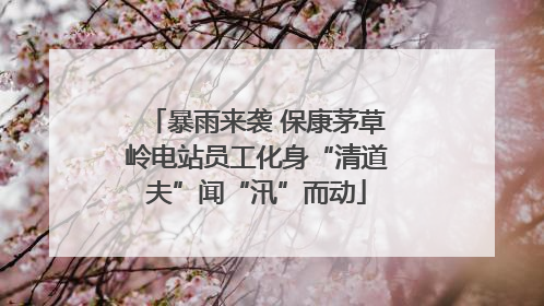 暴雨来袭 保康茅草岭电站员工化身“清道夫”闻“汛”而动