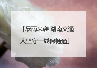 暴雨来袭 湖南交通人坚守一线保畅通